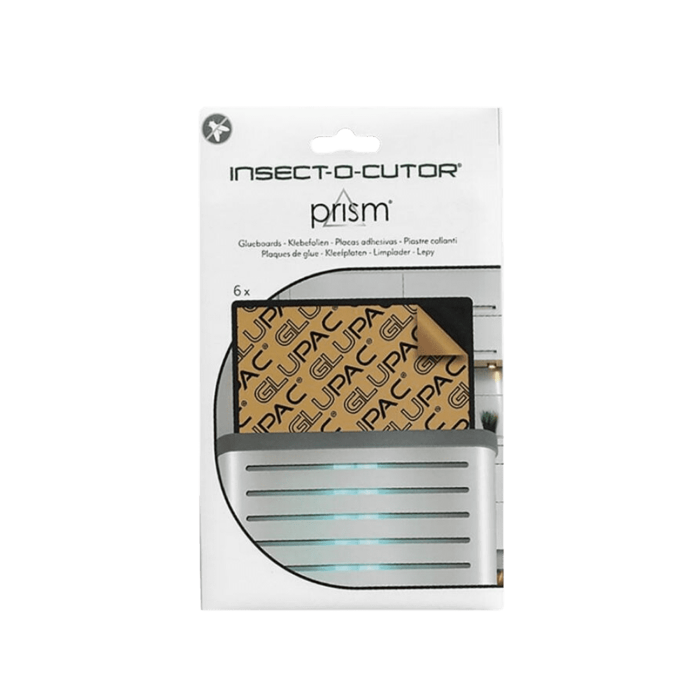 PRISM® Recharge plaque de Glue